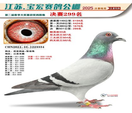 괺Qِ299