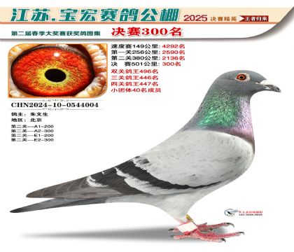 괺Qِ300