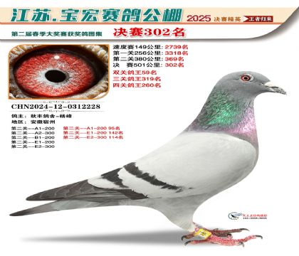寶宏春棚決賽302名