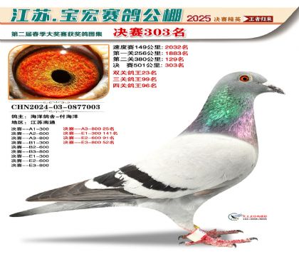 寶宏春棚決賽303名