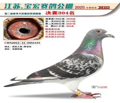 寶宏春棚決賽304名