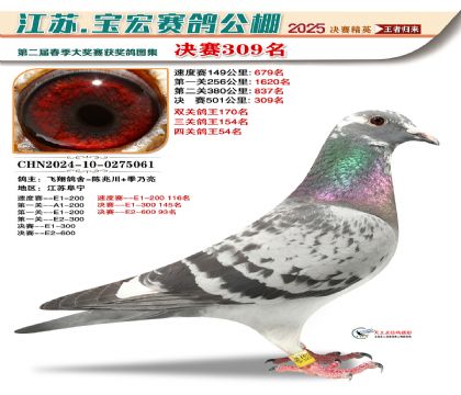 寶宏春棚決賽309名