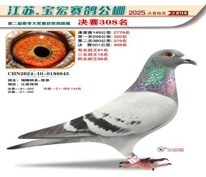 寶宏春棚決賽308名