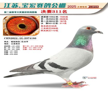 寶宏春棚決賽311名