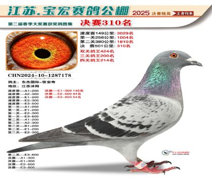 寶宏春棚決賽310名