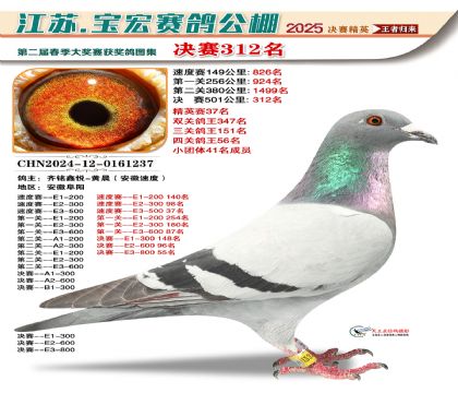 寶宏春棚決賽312名