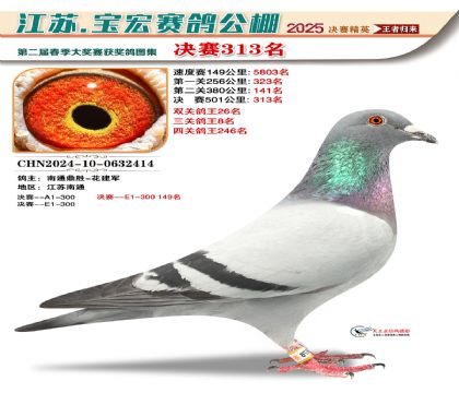 寶宏春棚決賽313名