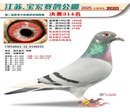 寶宏春棚決賽314名