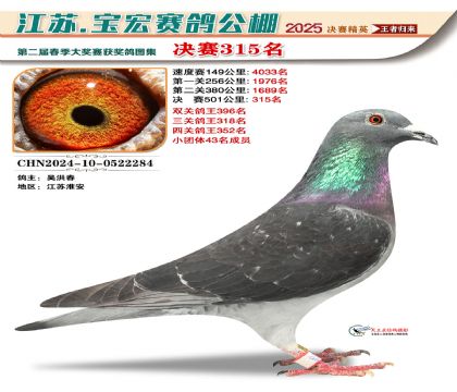 寶宏春棚決賽315名