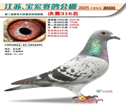 寶宏春棚決賽316名