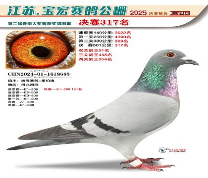 寶宏春棚決賽317名