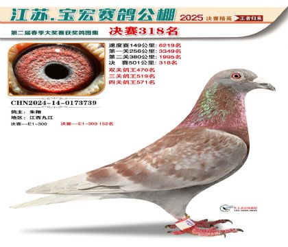 寶宏春棚決賽318名