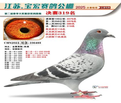 寶宏春棚決賽319名