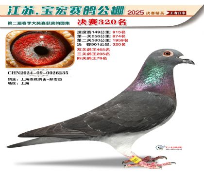 寶宏春棚決賽320名