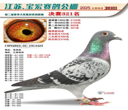 寶宏春棚決賽321名