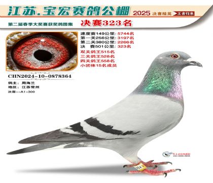 寶宏春棚決賽323名