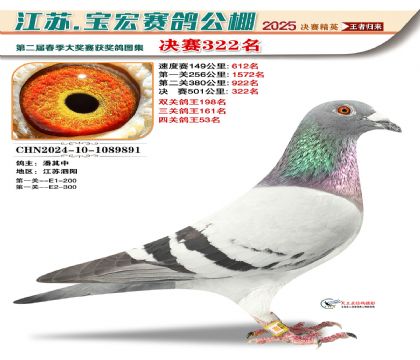 寶宏春棚決賽322名