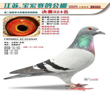 寶宏春棚決賽324名
