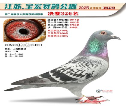 寶宏春棚決賽326名