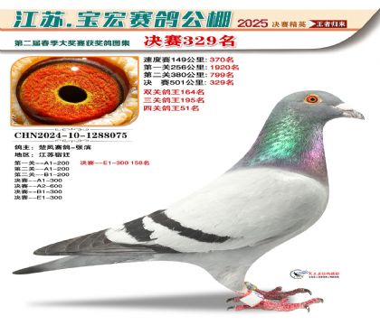 寶宏春棚決賽329名