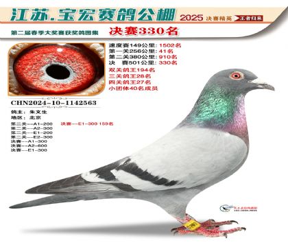 寶宏春棚決賽330名