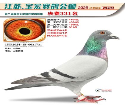 寶宏春棚決賽331名