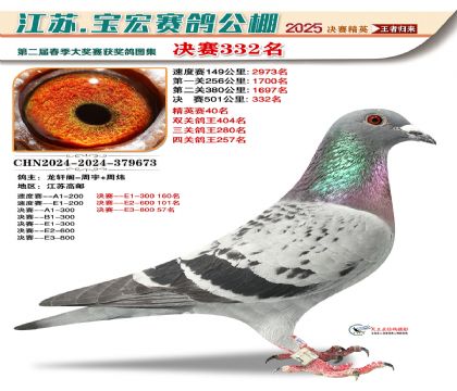 寶宏春棚決賽332名