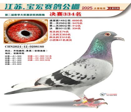 寶宏春棚決賽334名