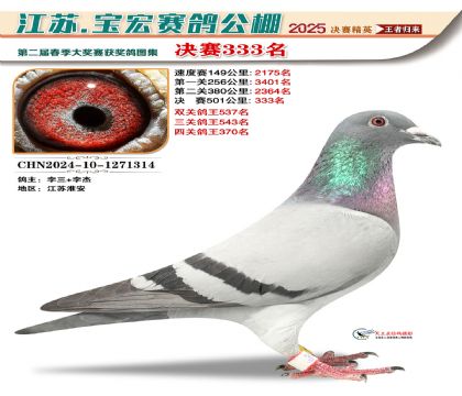 寶宏春棚決賽333名