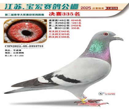 寶宏春棚決賽335名