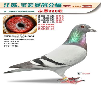 寶宏春棚決賽336名