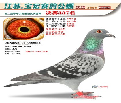 寶宏春棚決賽337名