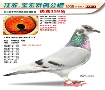 寶宏春棚決賽338名