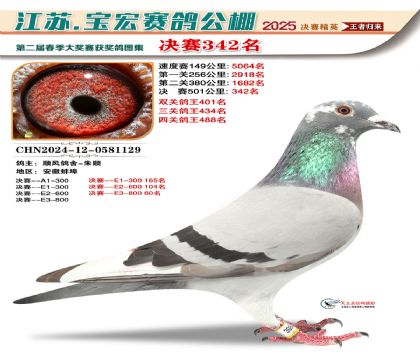 寶宏春棚決賽342名