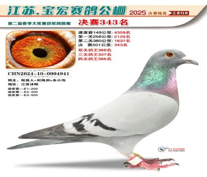 寶宏春棚決賽343名