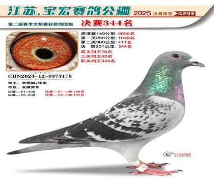 寶宏春棚決賽344名