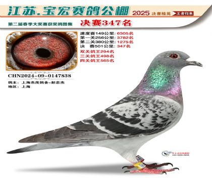 寶宏春棚決賽347名