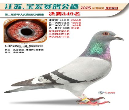 寶宏春棚決賽349名