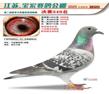 寶宏春棚決賽348名