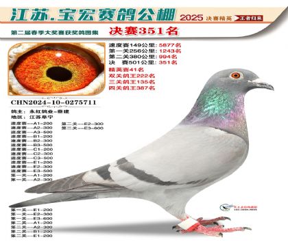 寶宏春棚決賽351名