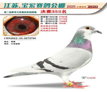 寶宏春棚決賽353名