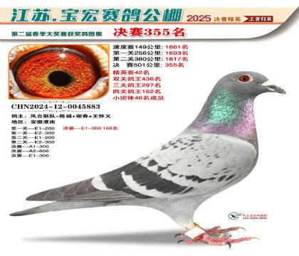 寶宏春棚決賽355名