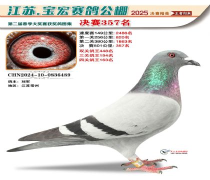 寶宏春棚決賽357名