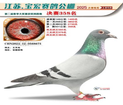 寶宏春棚決賽358名