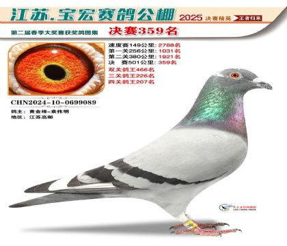 寶宏春棚決賽359名