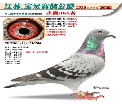 寶宏春棚決賽361名