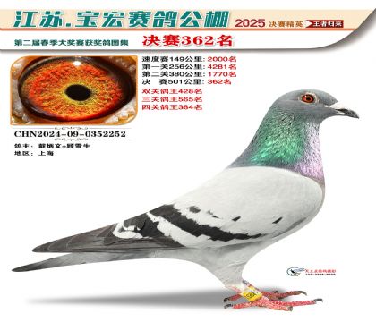 寶宏春棚決賽362名