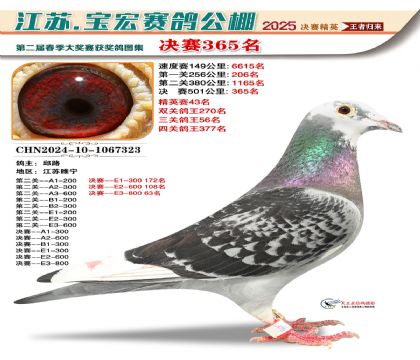 寶宏春棚決賽365名