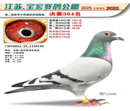寶宏春棚決賽364名