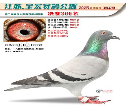 寶宏春棚決賽366名